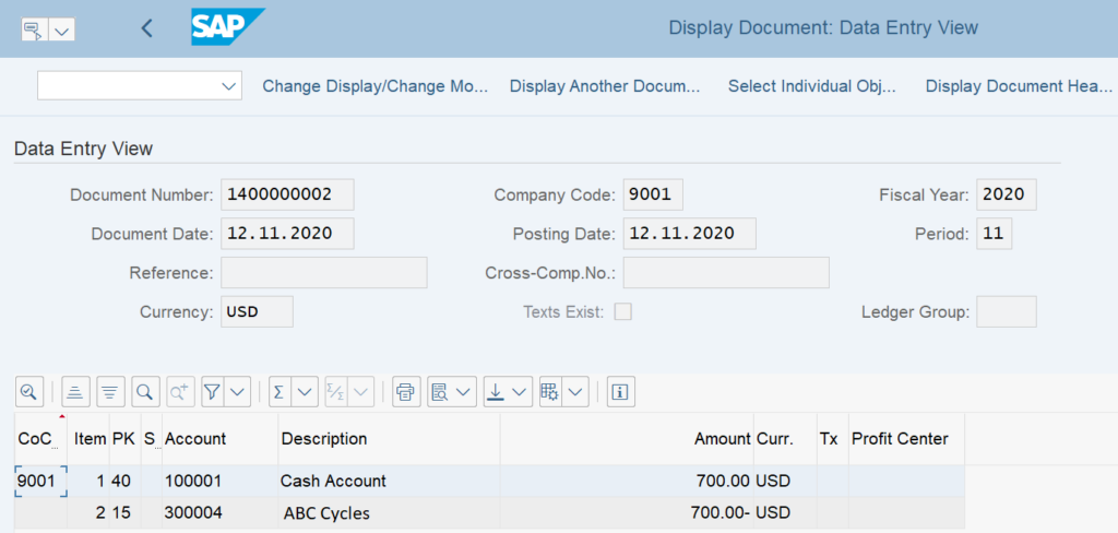 Display the Accounting Document